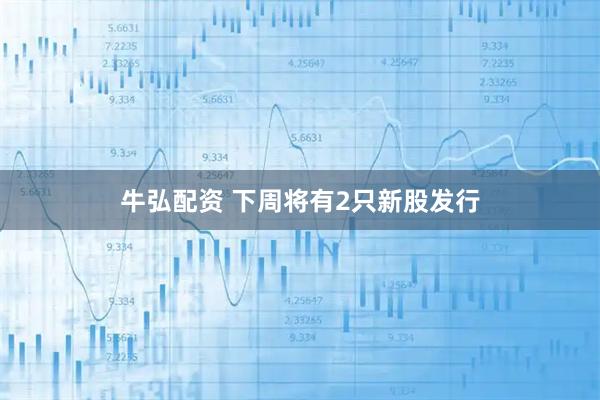 牛弘配资 下周将有2只新股发行