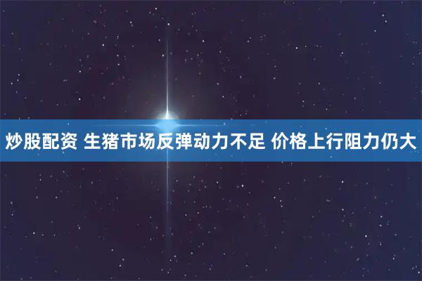 炒股配资 生猪市场反弹动力不足 价格上行阻力仍大